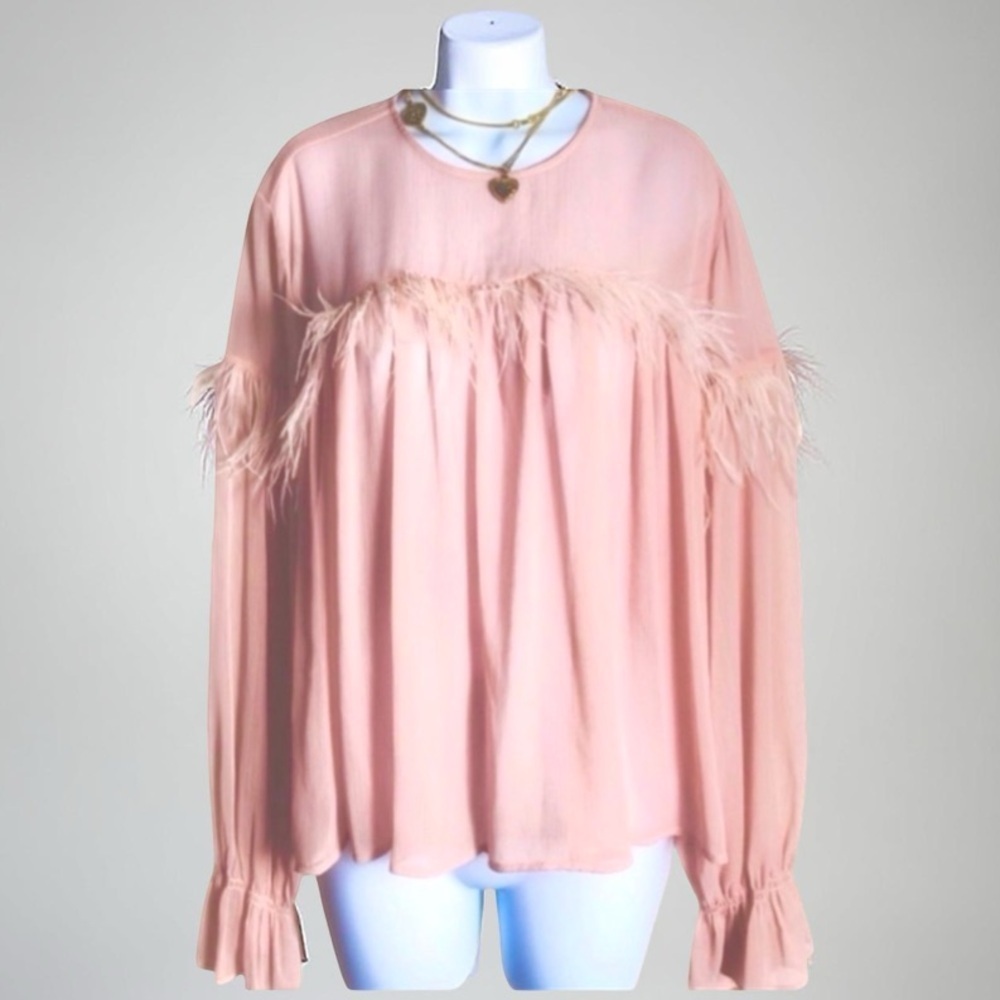 ZARA Blush Sheer Blouse with Feather Trim Size M
